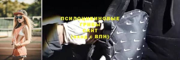 меф Арсеньев