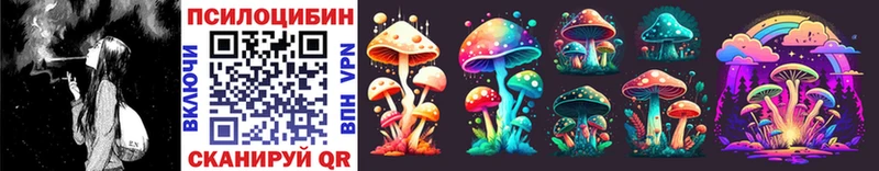 Псилоцибиновые грибы Psilocybine cubensis  Купить  Людиново 